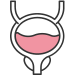профилактика цистита.png